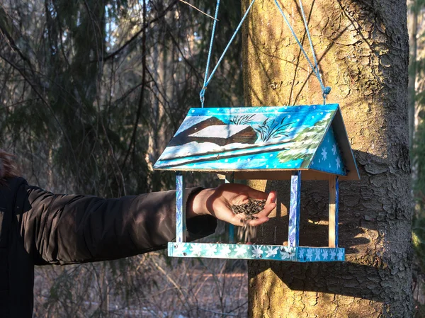 Bonito alimentador de madeira (caixa de nidificação) pendurado em uma árvore no parque. Cuidar dos animais. Um homem a alimentar os pássaros. A primavera está chegando . — Fotografia de Stock