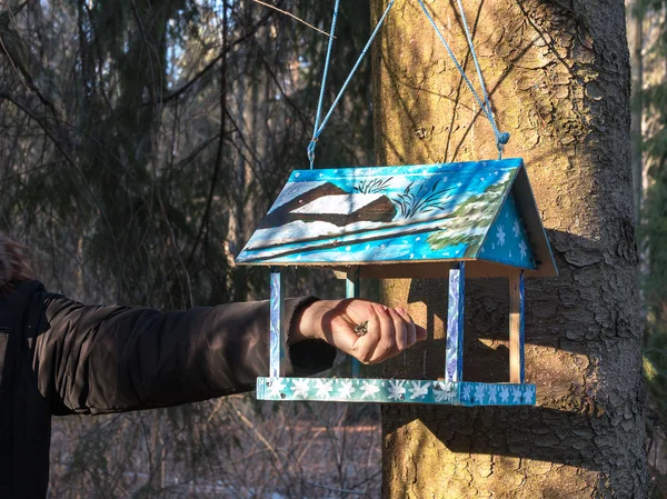 Bonito alimentador de madeira (caixa de nidificação) pendurado em uma árvore no parque. Cuidar dos animais. Um homem a alimentar os pássaros. A primavera está chegando . — Fotografia de Stock