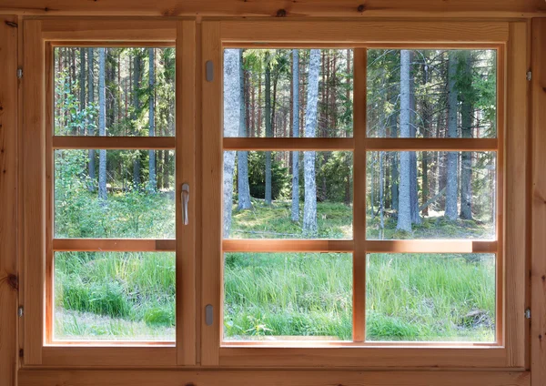 Groene zonnige weergave van zomer bos in het venster houten land. — Stockfoto