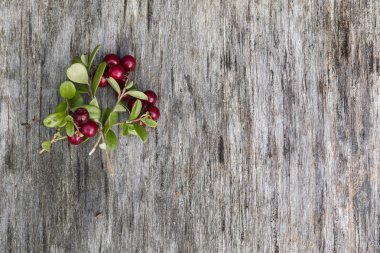 Cranberries ahşap tablo