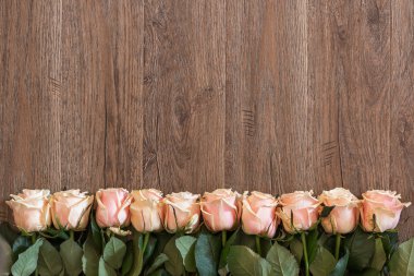 Pembe Gül ahşap arka plan üzerinde yalan. Arka plan bahar Temalar için.