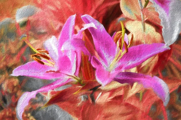 Stiliserad blomma - rosa Lilja — Stockfoto