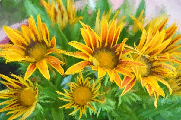 Güzel stilize sarı gazania