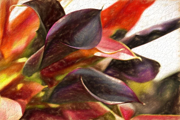 Stilize çiçek calla lily