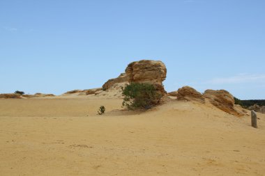 Avustralya, pinnacles, nambung, western, perth