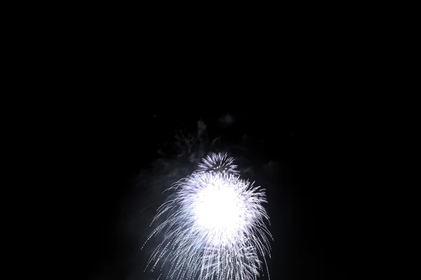 東京都世田谷区日本花火 — ストック写真