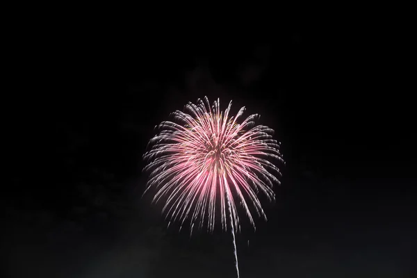 東京都世田谷区日本花火 — ストック写真