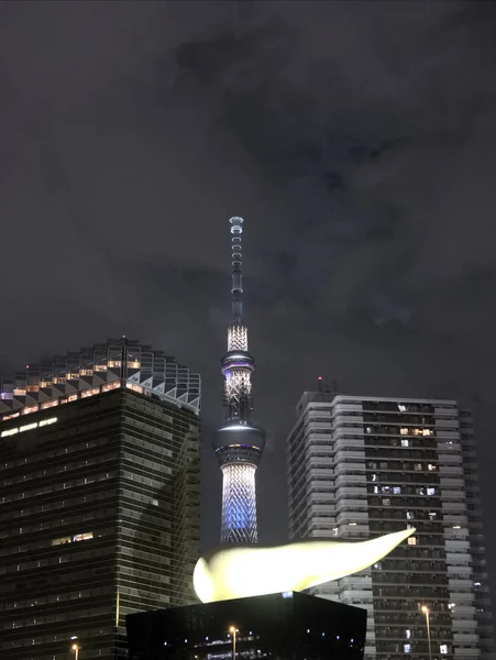 Ciel arbre de Tokyo — Photo