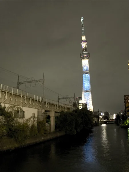 Ciel arbre de Tokyo — Photo