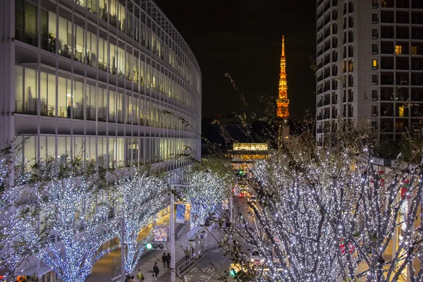 Tour de Tokyo avec illumination de Noël à Roppongi — Photo