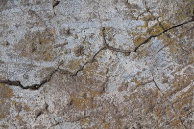 Bu resim, eskimiş beton, çatlaklar ve doğal dokuların ayrıntılı bir görünümünü sergiliyor.