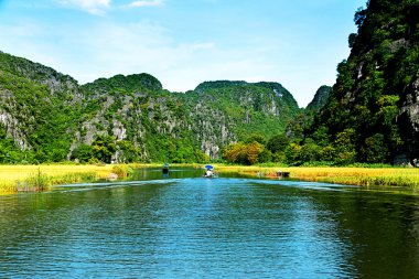 Landscape in Van Long natural reserve in Ninh Binh, Vietnam. Vietnam landscapes. clipart