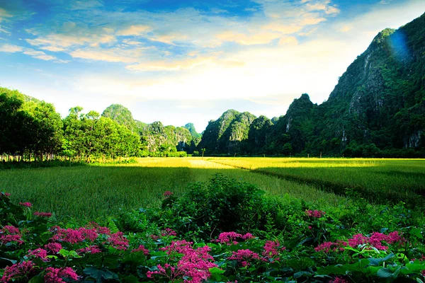 Paisaje natural en Ninh Binh, Vietnam . —  Fotos de Stock