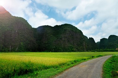 Doğal manzara Ninh Binh, Vietnam.