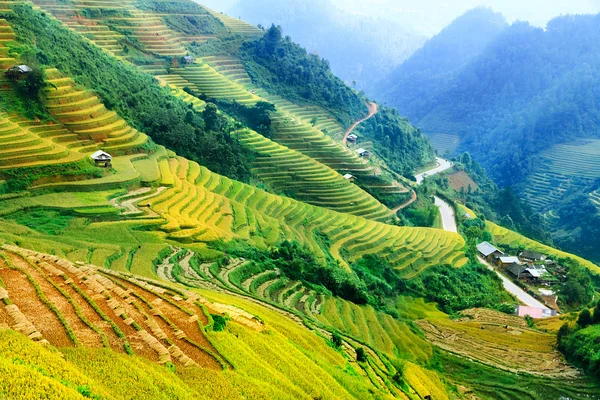 Rizs mezők teraszán Mu Cang Chai, YenBai, Vietnam. A rizsföldek előkészítik a betakarítást Északnyugat-Vietnamban. Vietnam tájak. — Stock Fotó