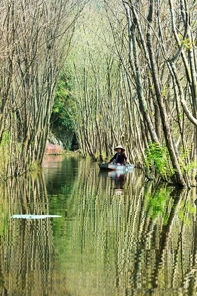 MYDUC, VIETNAM - NOVEMBRO 2: menina em traje tradicional remo barco na floresta inundada em MYDUC, VIETNAM em 2 de novembro de 2013. MYDUC é um distrito a cerca de 60 km de Hanói — Fotografia de Stock