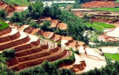 Mu Cang Chai, YenBai, Vietnam 'daki pirinç tarlaları. Pirinç tarlaları Kuzeybatı Vietnam 'da hasat hazırlıyor. Vietnam manzaraları..