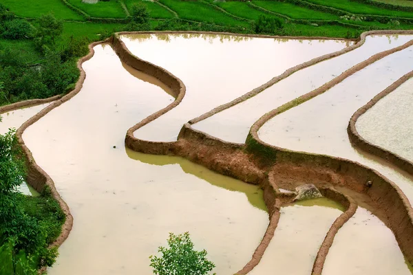 Reisfelder auf Terrassen von Mu Cang Chai, YenBai, Vietnam. Reisfelder bereiten die Ernte im Nordwesten Vietnams vor.. — Stockfoto