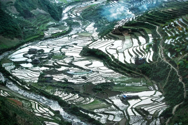 Mu Cang Chai, YenBai, Vietnam 'daki pirinç tarlaları. Pirinç tarlaları Kuzeybatı Vietnam 'da hasat hazırlıyor. Vietnam manzaraları.. — Stok fotoğraf