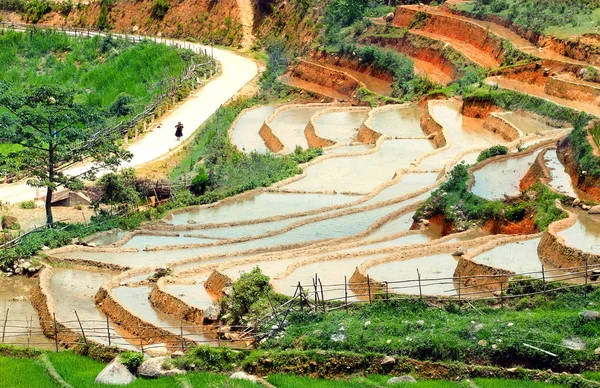 Ladang padi dan air di teras Mu Cang Chai, YenBai, Vietnam. Lanskap Vietnam . — Stok Foto