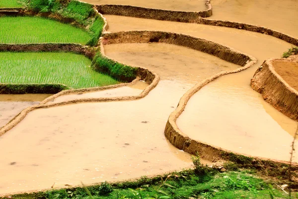 Rizsföldek és a víz, a teraszos a Mu Cang Chai, Yenbai, Vietnam. Vietnam tájak. — Stock Fotó