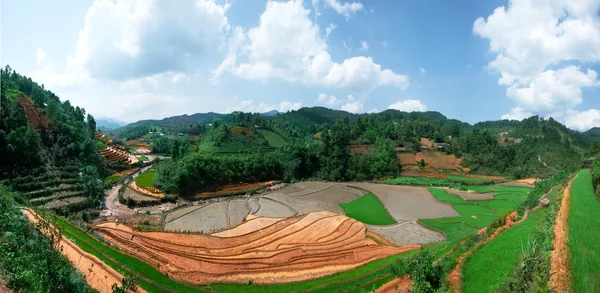 稻田和水对梯田的木仓柴，Yenbai，越南。越南风景. — 图库照片