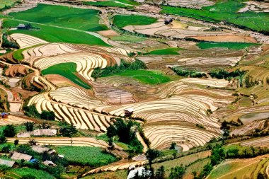 Alanları pirinç ve su üzerinde Mu Cang Chai, Yenbai, Vietnam teraslı.