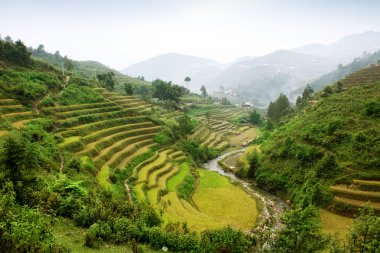 Pirinç tarlaları üzerinde Mu Cang Chai, Yenbai, Vietnam Teras. Vietnam manzaralar.