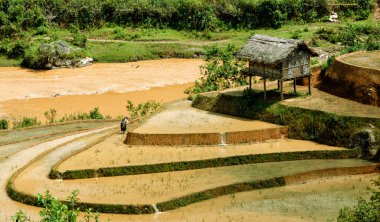 Alanları pirinç ve su üzerinde Mu Cang Chai, Yenbai, Vietnam Teras. Vietnam manzaralar.