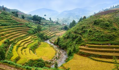Pirinç tarlaları üzerinde Mu Cang Chai, Yenbai, Vietnam Teras. Vietnam manzaralar.