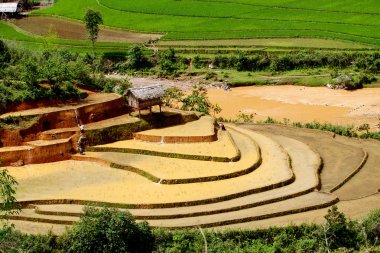 Alanları pirinç ve su üzerinde Mu Cang Chai, Yenbai, Vietnam teraslı.
