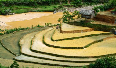 Alanları pirinç ve su üzerinde Mu Cang Chai, Yenbai, Vietnam Teras. Vietnam manzaralar.