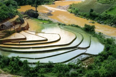 Alanları pirinç ve su üzerinde Mu Cang Chai, Yenbai, Vietnam Teras. Vietnam manzaralar.