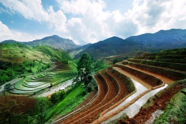 Alanları pirinç ve su üzerinde Mu Cang Chai, Yenbai, Vietnam Teras. Vietnam manzaralar.