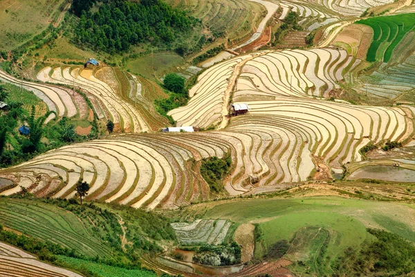 Reisfelder und Wasser auf Terrassen von mu cang chai, yenbai, vietnam. — Stockfoto