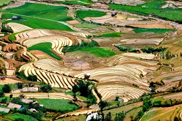 Alanları pirinç ve su üzerinde Mu Cang Chai, Yenbai, Vietnam teraslı. — Stok fotoğraf