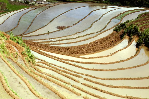 Campi di riso e acqua su terrazze di Mu Cang Chai, YenBai, Vietnam. Vietnam paesaggi . — Foto Stock