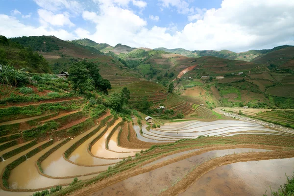 稻田和水对梯田的木仓柴，Yenbai，越南. — 图库照片