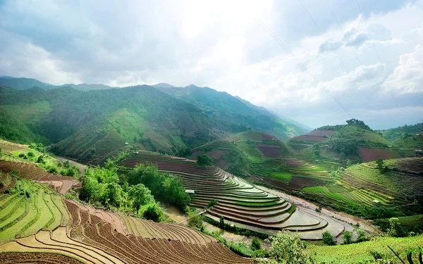 Rizsföldek és a víz, a teraszos a Mu Cang Chai, Yenbai, Vietnam. — Stock Fotó