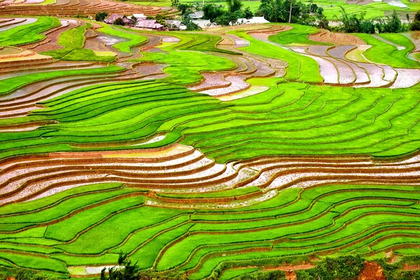 Reisfelder auf Terrassen und Wasser von Mu Cang Chai, Yenbai, Vietnam. Reisfelder bereiten die Ernte im Nordwesten Vietnams vor.. — Stockfoto