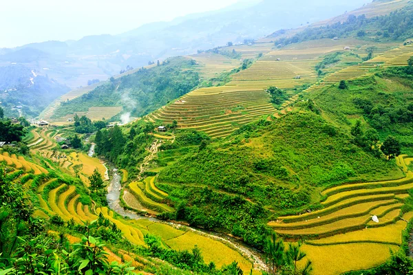 Campos de arroz em terraços de Mu Cang Chai, YenBai, Vietnã. Campos de arroz preparam a colheita no noroeste do Vietnã.. — Fotografia de Stock