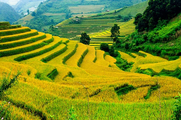 Terraces Small Plots Made Slopes Mountain Curve Has Thousands Years — Stock Photo, Image