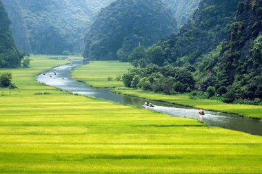 Pirinç alan ve nehir, Ninhbinh, vietnam manzaralar