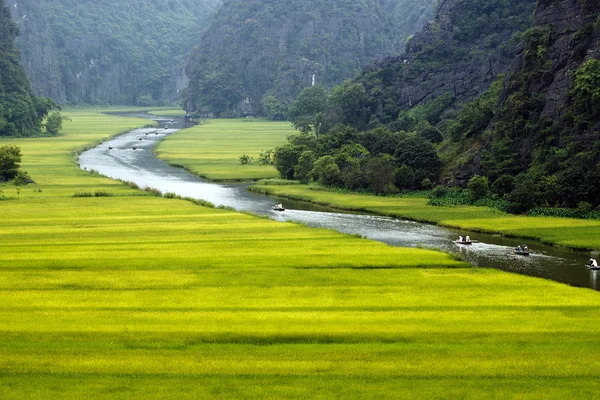 Campo de arroz y río, NinhBinh, paisajes de Vietnam — Foto de Stock