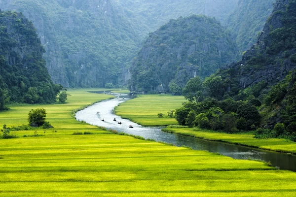 Pirinç alan ve nehir, Ninhbinh, vietnam manzaralar — Stok fotoğraf