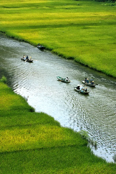 Reisfeld und Fluss, Ninhbinh, vietnamesische Landschaften — Stockfoto