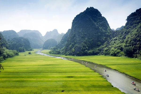 Campo de arroz y río, NinhBinh, paisajes de Vietnam —  Fotos de Stock