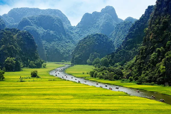 Rýžové pole a řeka, Ninhbinh, vietnam krajiny — Stock fotografie