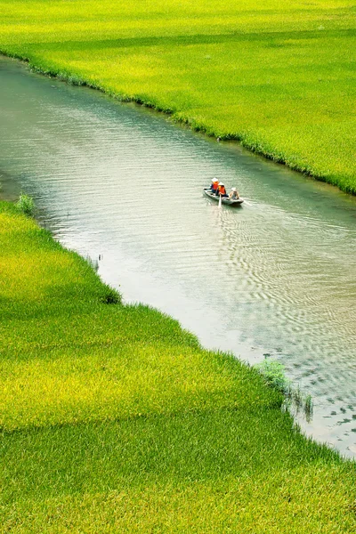 Reisfeld und Fluss, Ninhbinh, vietnamesische Landschaften — Stockfoto