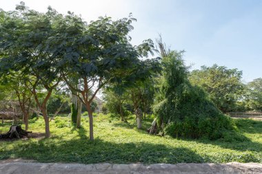 Dubai, Birleşik Arap Emirlikleri 22 Ocak 2021 Dubai Safari Parkı (Dubai Hayvanat Bahçesi), Al Warqa 'da yer alan Eko-Arkadaş Parkı 2500 civarında hayvana ve yaklaşık 250 türe sahiptir..